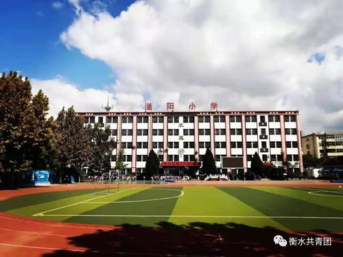 喜报 我市少先队获国字号荣誉