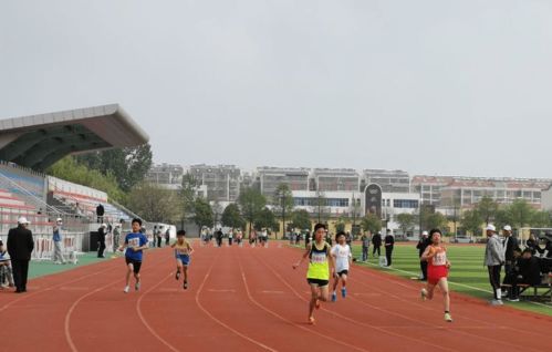 枣庄市台儿庄实验小学荣获第十一届中小学生春季田径运动会第一名