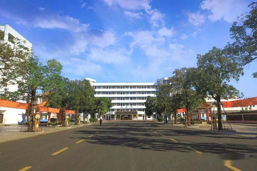 我校初中组器乐合奏 竹竿舞 荣获市中小学艺术表演大赛二等奖