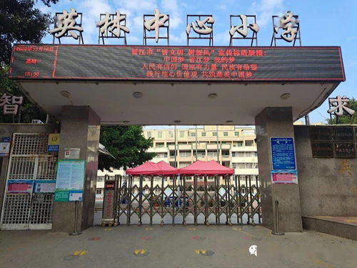 创城进行时,我们在行动 英林中心小学开展创建文明城市活动