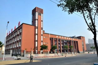 办和合共生教育 做越来越好的自己 沧州市解放路小学发展纪实