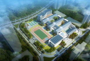 桂城 狮山最多 佛山24所新学校开学 学霸强区出炉