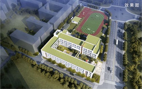 最新 湖滨片区5所学校过渡校区秋季正式启用