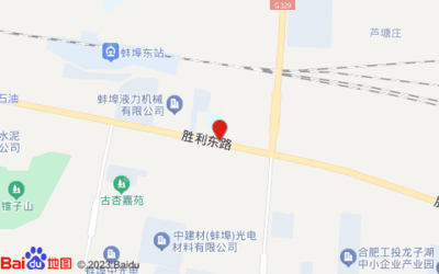 蚌埠市龙子湖区胜利东路蚌埠市工农中心小学南侧约80米