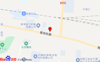 蚌埠市龙子湖区胜利东路蚌埠市工农中心小学东南侧约50米