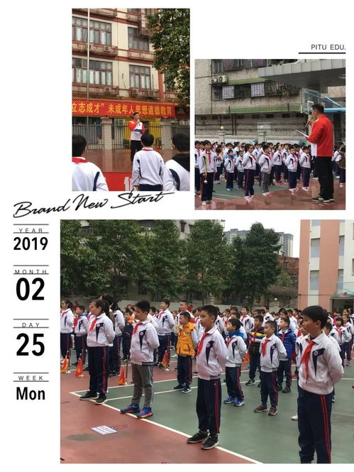 春风化雨,德育先行 佛山市第二十四小学未成年人思想道德教育