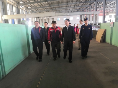 蚌埠市龙子湖区开展安全生产检查工作