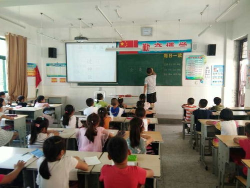 关爱留守儿童,快乐一暑假 记淮安市南陈集镇中心小学暑期教育辅导站