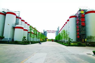 莱阳市推动食品加工向食品制造转型
