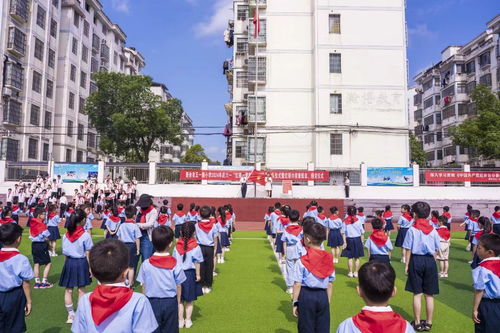 市五一路小学开展 红领巾爱祖国 新队员入队仪式