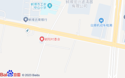 蚌埠市龙子湖区胜利东路蚌埠市工农中心小学南侧约160米