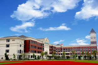 教育视点 李金钊 学习基础素养培育与学校整体变革