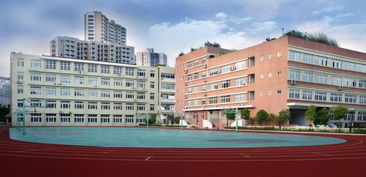 瑞安市义务教育阶段部分公办学校2019年秋季入学户籍生信息预警发布