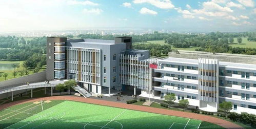 螺蛳壳里做道场——蚌埠市工农小学家校社携手守护学生上下学交通秩序