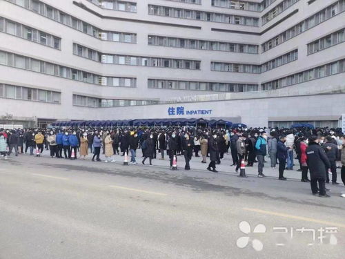 苏州新增8例阳性感染者详情公布，全市中小学幼儿园暂缓开学